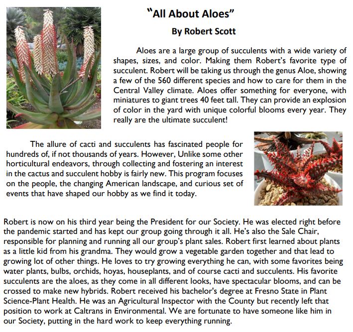 All About Aloes by Robert Scott